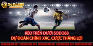 8K8 - Casino 8k8 | Play Slots | Game Sports | 8k8 Tặng 8888k